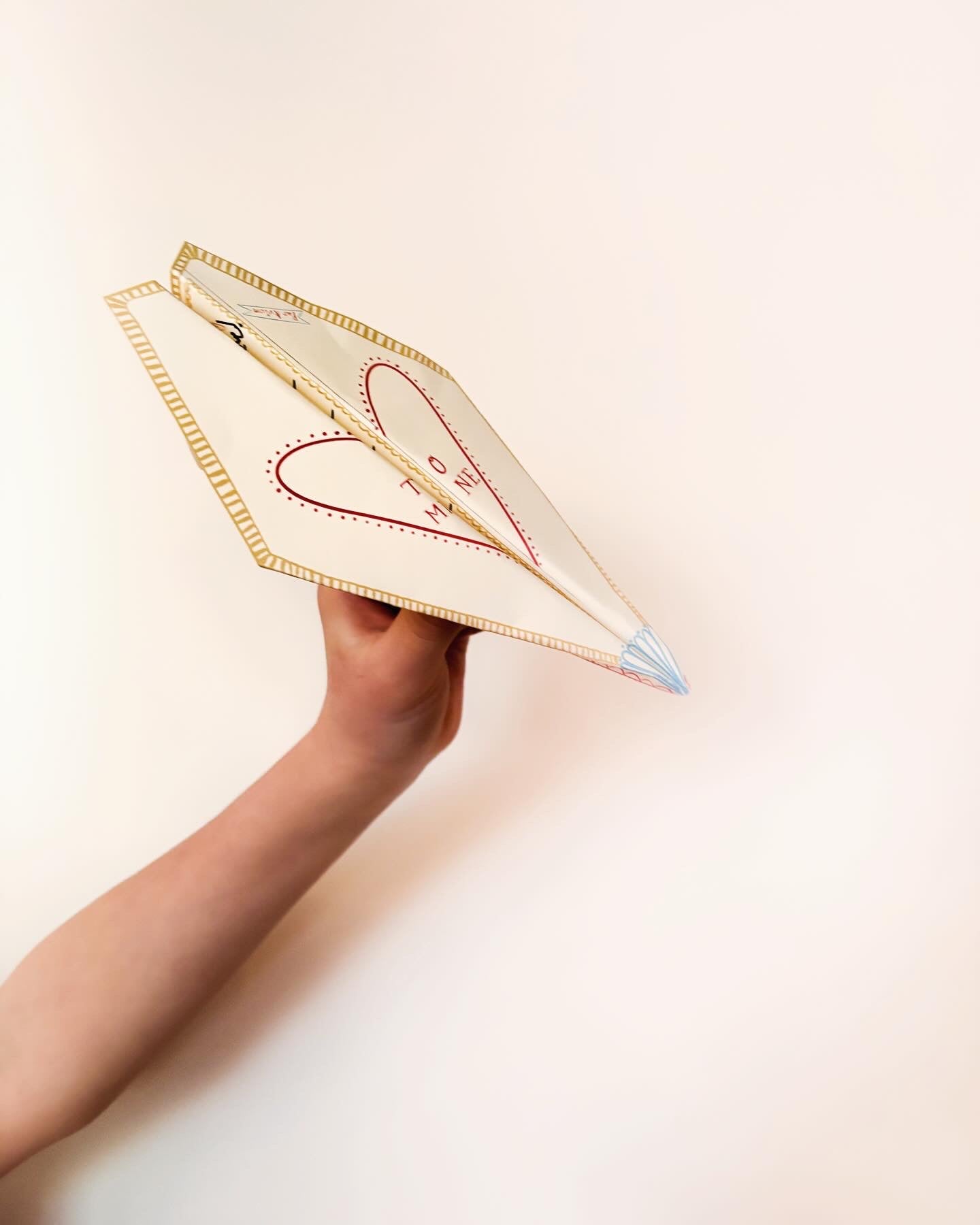 Paper Airplane